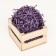 Filler with silence, 50 g, lavender