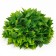 Decorative ball boxwood No. 2, size 21 × 21 cm