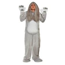 Carnival costume 