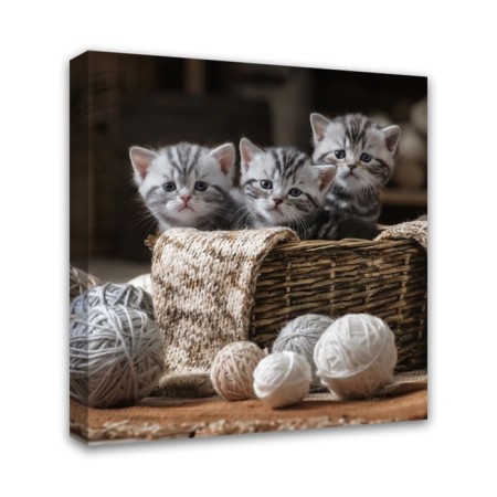 Picture on the subframe "kittens" 30*30 cm-1