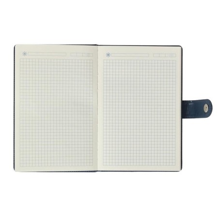 Diary Leduced A5,100 sheets in a cage, with a header, PVC cover, mix-6