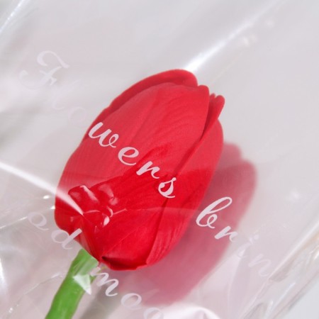 Soap tulip, red-2