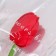 Soap tulip, red