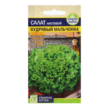 Salad seeds "Curly boy", 0.5 gr.