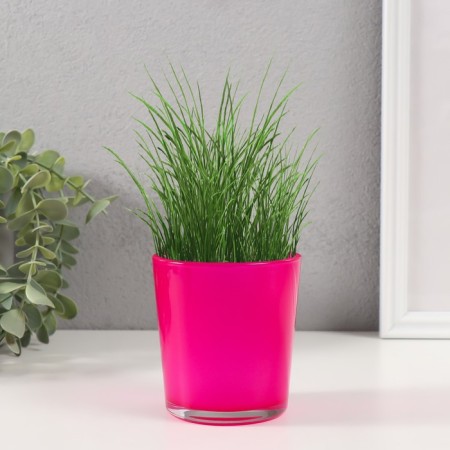 Set for growing plants "grow grass" pink-2