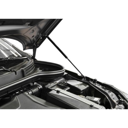 Copes of the hood Auto unorusor for Lada Vesta 2015-09.2017, 2 pcs., Ulaves011-1