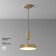 Technical C032CL-36W3K-RD-MG, LED, 36 W, 300x300x60 mm, 2220 lm, 2835, matte gold, matte gold