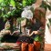 Fountain "Tree on stones, logs" 14x19x20 cm (with backlight)