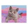 Diamond mosaic "British kitten", Poln. Filling, 21 × 30 cm