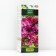 Congo Lilac Siren (P9), 1 pc, Spring 2024