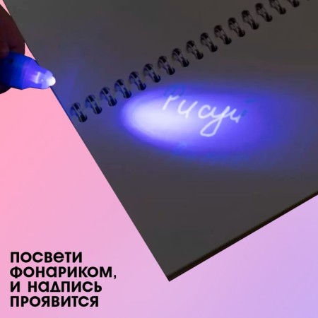 The pen of the Princess, pen and notebook-3