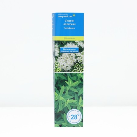 Japanese spirea (Northern Garden series) "Albiflora", 1 pc, tube, spring 2025