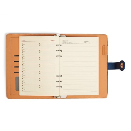 Organizer on the rings of "Classic" A5, 96 sheets in the ruler, with a strap, mix-8