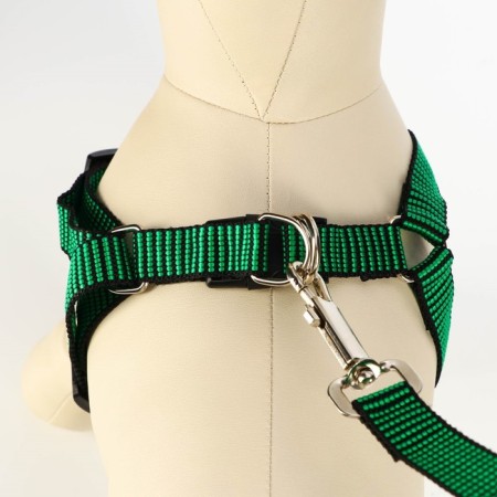 Acunition set is embossed, leash 120 x 2 cm, og 44-50 cm, green-black-3