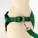 Acunition set is embossed, leash 120 x 2 cm, og 44-50 cm, green-black