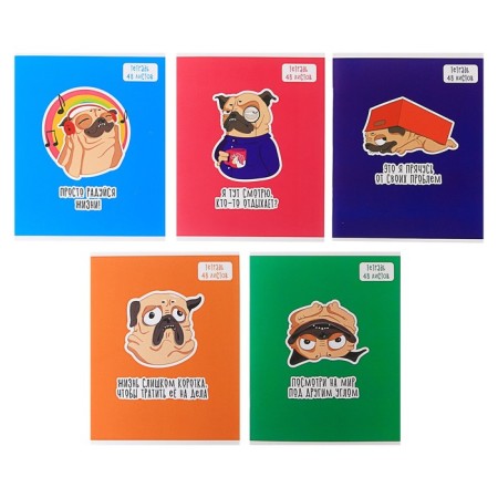 Notebook of 48 sheets in Calligrata MOPS, covered cardboard, OFSET block, mix