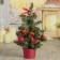Christmas tree decor "Balls" and 25x15 cm, red