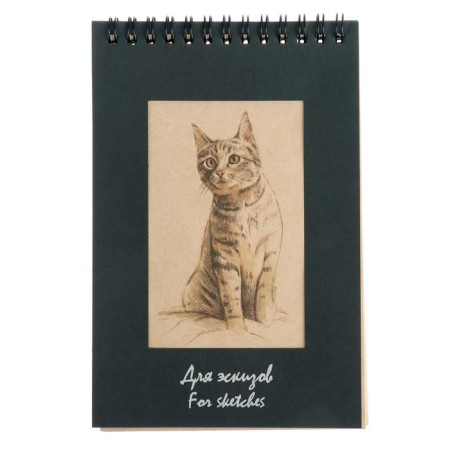 Notebook for sketches 120 x 180 mm, 50 sheets "kitten", 70 g/m²