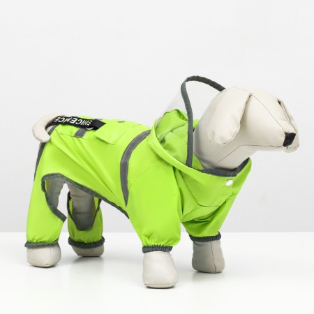 Dog ovens, demi -season with a visor, size S (DS 28, OG 41, Osh 31 cm), Green