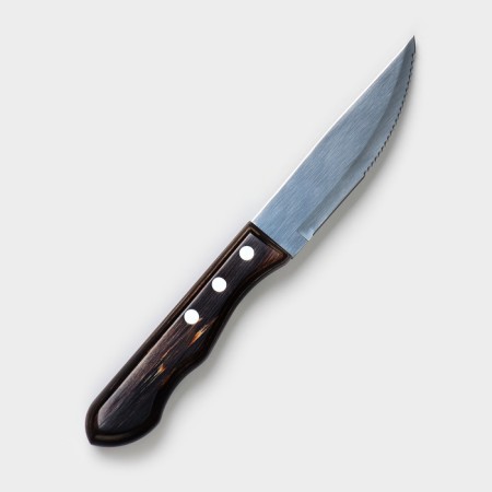 Kitchen knife for meat Tramontina Polywood Jumbo, blade 12.5 cm
