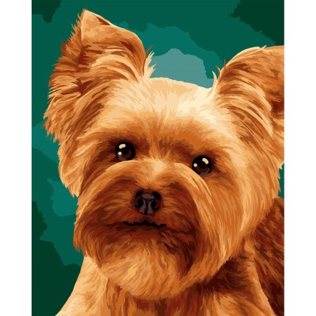 Picture on numbers on a canvas with a subframe "Baby York", 40 x 50 cm-1