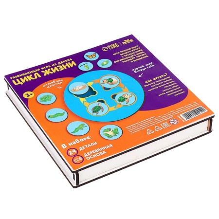 Developing wood game "Life Cycle"-4