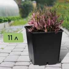 Pot for seedlings, 11 l, d = 25 cm, h = 26 cm, black