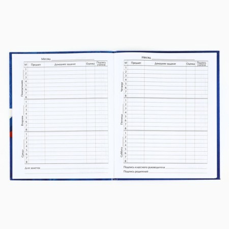 School diary for grade 1-11, in an integrated cover, 40 l. "Russia. Blue"-2