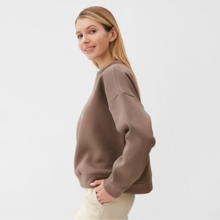 Female sweatshirt Minaku: Velvet Collection Brown color, size 52-2
