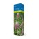 Mining hydrangea (Northern Garden series) "Pink Diamond" 1 pc, tube, spring 2025