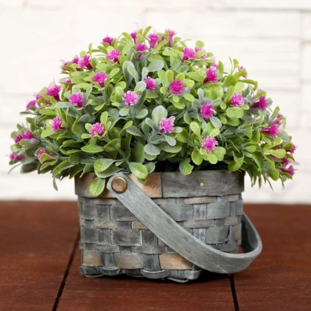 Bonsai "Delicate flowering in the basket" 9x13 cm, mix-4