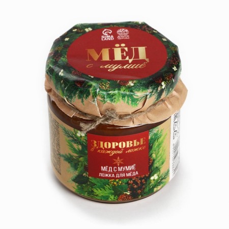 Honey with mummy "Health in each spoon", 250 g.-1