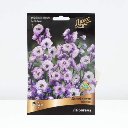 Delphinium tall la Bohemia, rr I, 1 pc, spring 2025