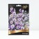 Delphinium tall la Bohemia, rr I, 1 pc, spring 2025