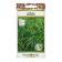 Flowers Ciperus Pharaoh (0.01 g)