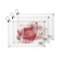 Lightning folder-convert format A5, 180MKR, with a drawing "Cat", mix