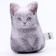 Antistress toy "Kitten gray"