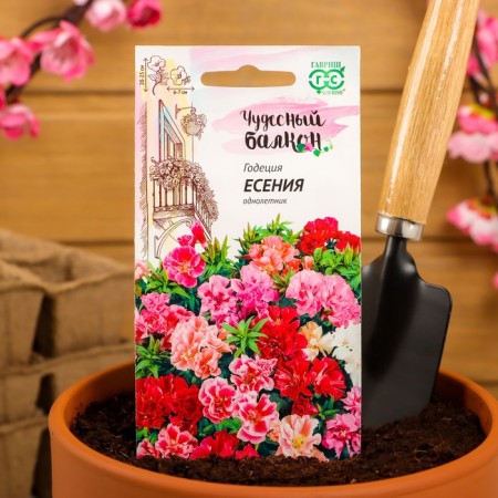 Flower seeds Godegia "Esenia", low, mixture, series wonderful balcony, 0.05 g-2