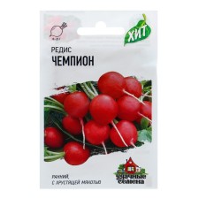 Seeds Radis 