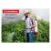 Pompoval sprayer, 5 l, portable, white, Grinda