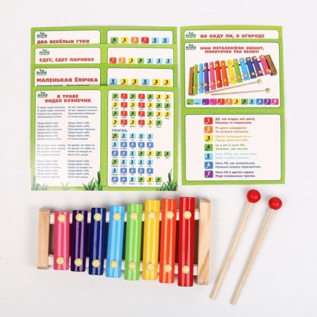 Metallophone, 8 tones + cards with songs-2