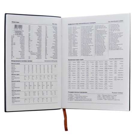 Deliciper of Leduced A5, 140 sheets in a cage, with a handle, leatherette cover, mix-3