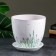 Flower lavender pot 5 l