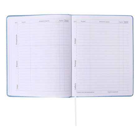 Universal diary for grade 1-11 Modern Concept, solid cover, artificial leather, silkography, liesse, 80 g/m2-6