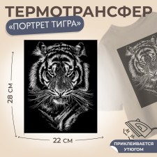 Thermalrotransfer 