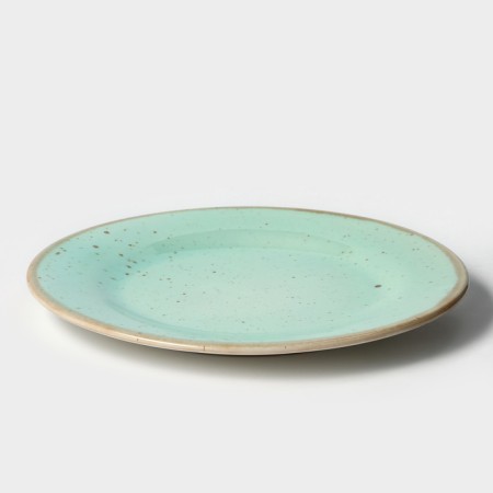 Porcelain plate nordic, d = 24 cm, h = 2 cm-1