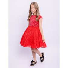 Dress for the girl 
