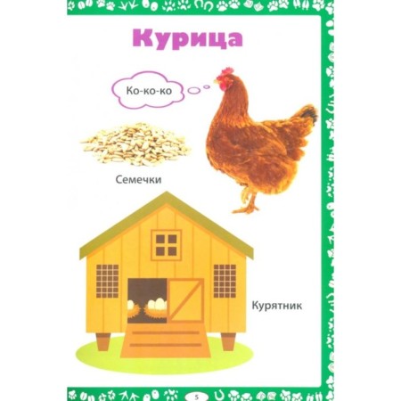 Animals. As they say, they eat and where they live. Fedanova Yu., Skiba T.-2