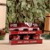 A set of essential oils 10 ml "with a light steam" cedar, mint, pine