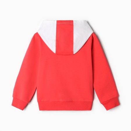 Kit for girls (sweatshirt, trousers), raspberry color, height 104 cm-5